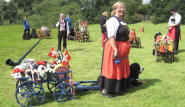 With the Carting Group, Bernese Mountain Dog Club of Great Britain, Billingshurst, Kent